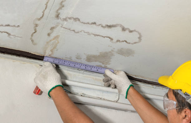 Reliable Mold Remediation contractor in North Brunswick, NJ by Water Damage Irwin